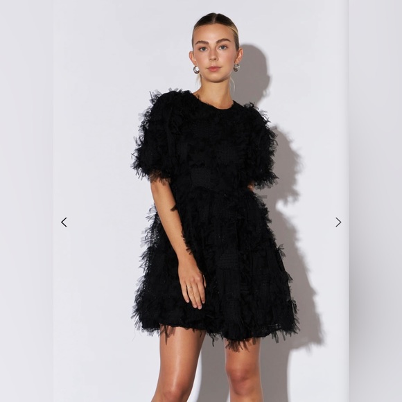 Endless Rose Black Mesh Dress - Picture 2 of 6